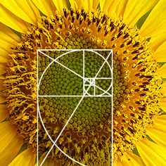 5cd515c02e23453c01850ff210264831